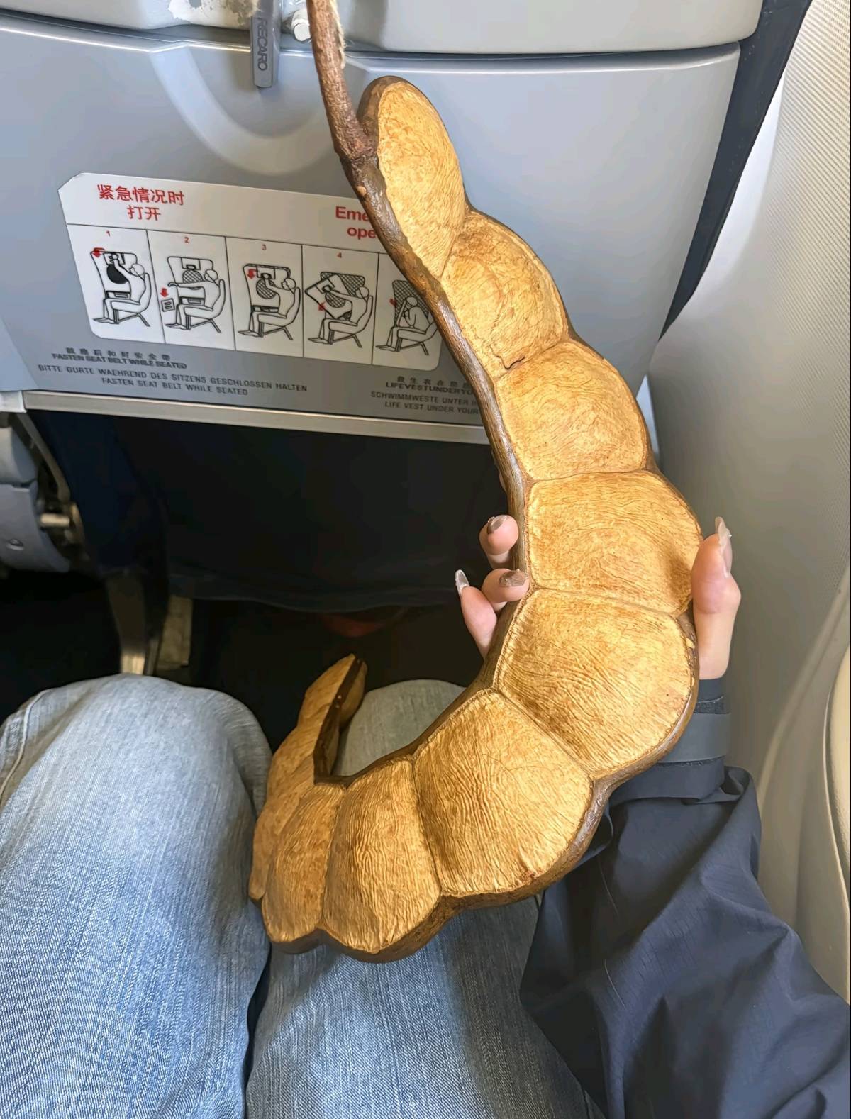 女子帶1米長巨大豆莢坐飛機回東北引圍觀<strong></p>
<p>朗益電子是什么</strong>，本人稱已跨越4000公里落地，機場客服：可隨身攜帶:朗益電子是什么